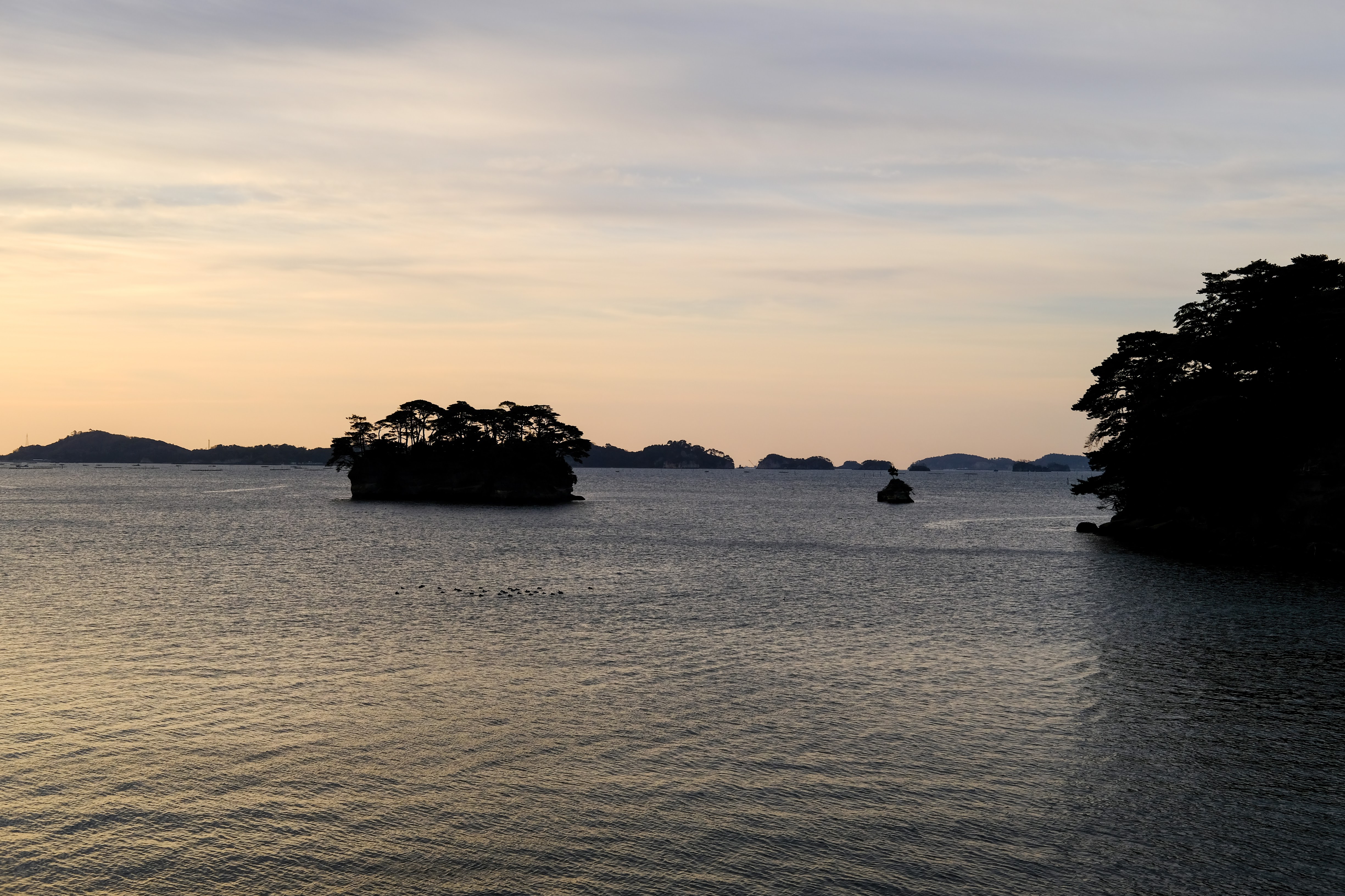 matsushima 福浦島 704